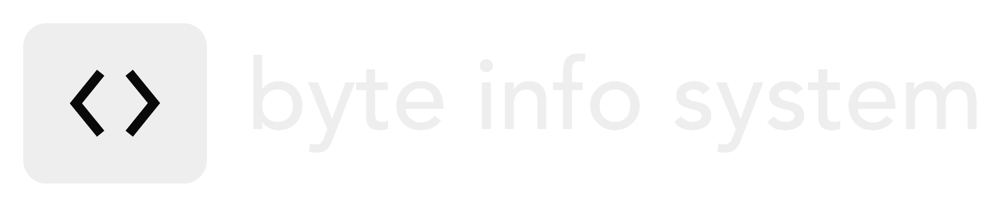ByteInfoSystem Logo
